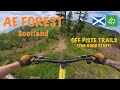 A TIRING DAY RIDING AE FOREST OFF PISTE DOWNHILL TRAILS - WORTH THE CLIMB !