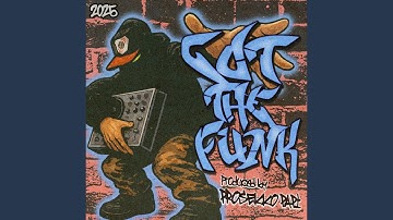 Got The Funk