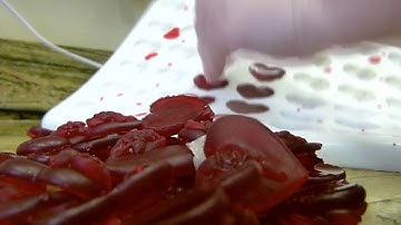 Making Heart Embeds For Cupcake Soaps