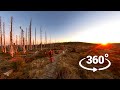 Insta360 ONE X2 - VR 360 video test footage