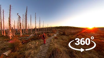 Insta360 ONE X2 - VR 360 video test footage