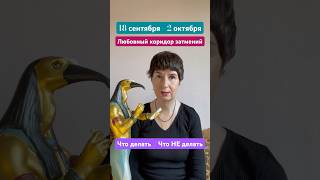 Коридор затмений 18 сентября - 2 октября 2024 Что нельзя делать #коридорзатмений #диагностикапорчи