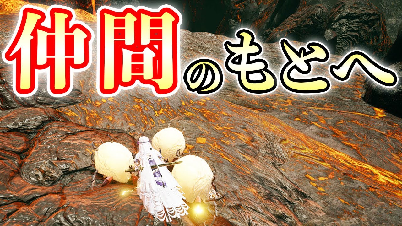 【MHRise】群れからはぐれたツケヒバキの命を救いたい【モンハンライズ実況】