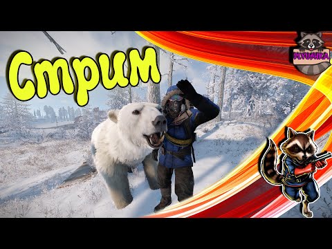 🦝RUST / РАСТ Атмосферное выживание с девочками! Стрим🦝