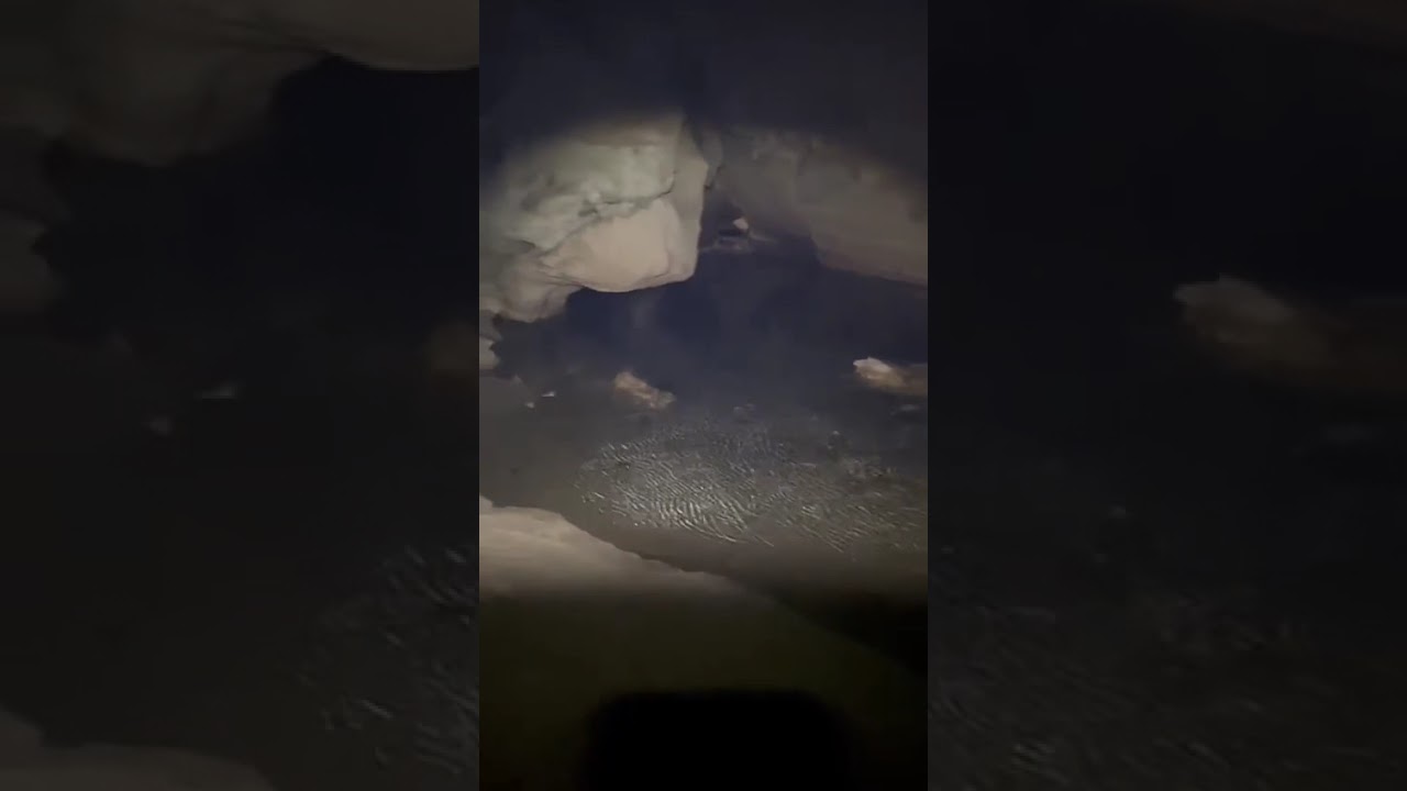 Alone - Caves In The Jungle Of Belize 