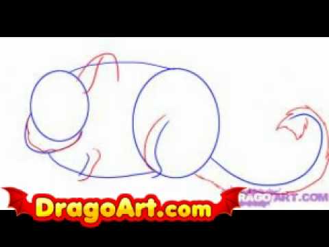 How to draw a chinchilla, step by step - YouTube