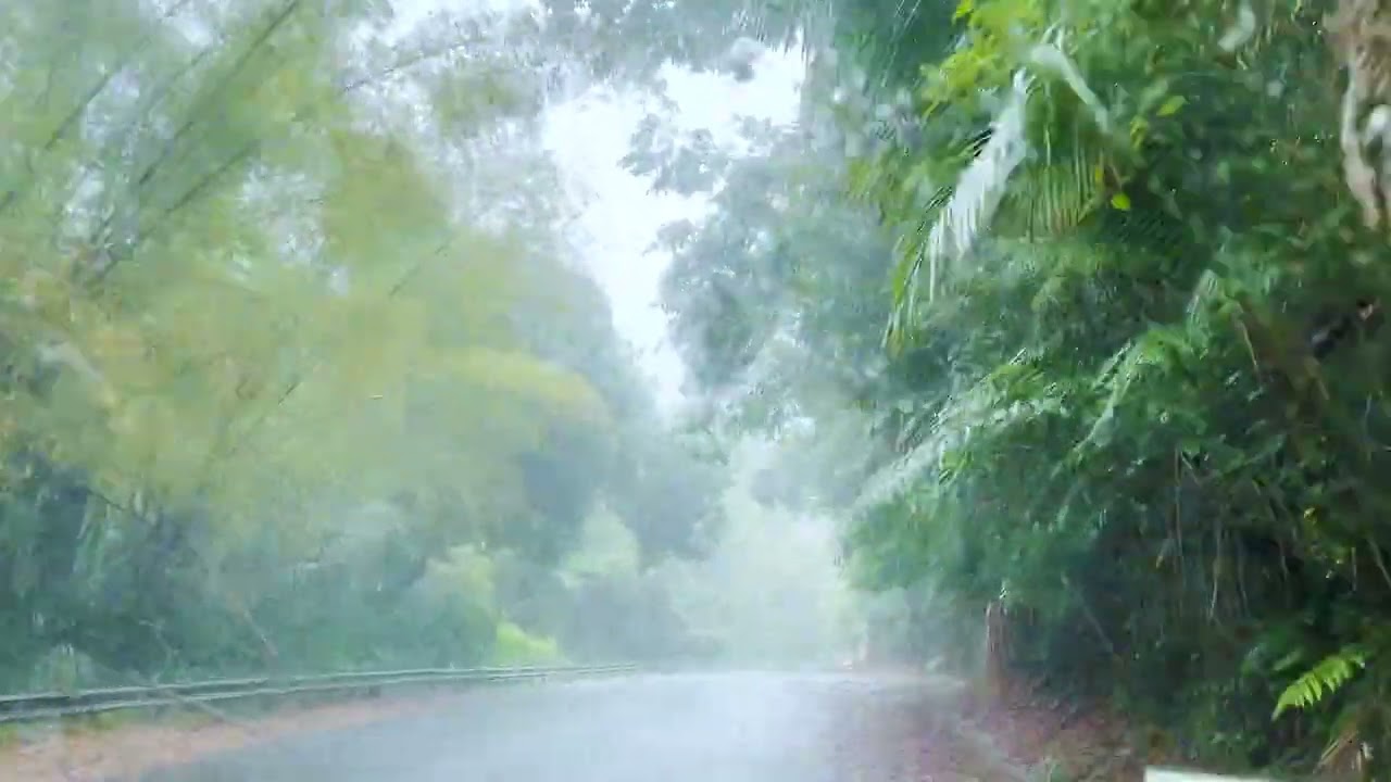 El Yunque Rain Forest of Puerto Rico in April, 2023