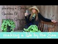 How I plant Coleus, pruning grapes : MAKING A LIFE BY THE SEA