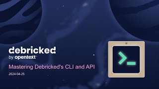 [Webinar] Mastering Debricked's CLI and API
