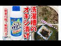 【※概要欄必須】【洗濯槽オキシ漬け】初オキシクリーンで掃除したらスゴイことに！１年分の洗濯槽にこびりついたヘドロ汚れがごっそり！【激落ち】 (※)『訂正箇所あり』×「すすぎ」→ ○「洗い」