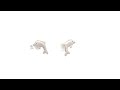 Boucles doreilles argent dauphins pour enfants  wwwebijouteriecom