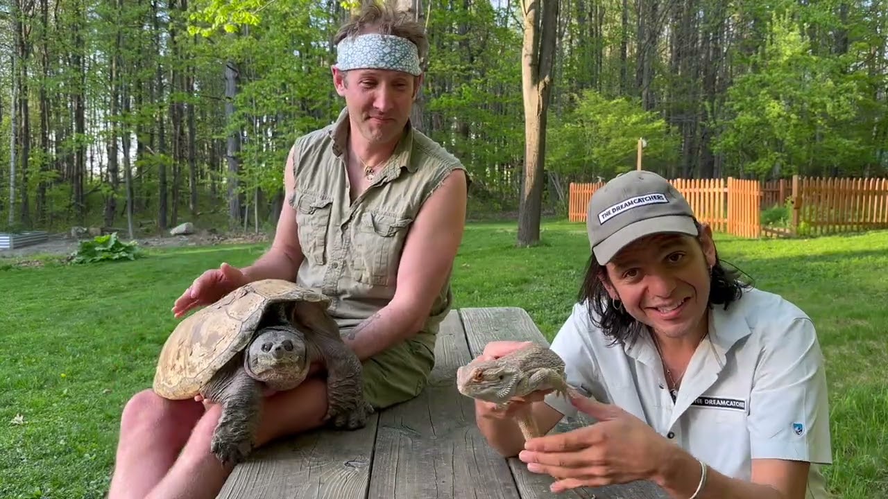 Coffee & Turtles in Paradise I