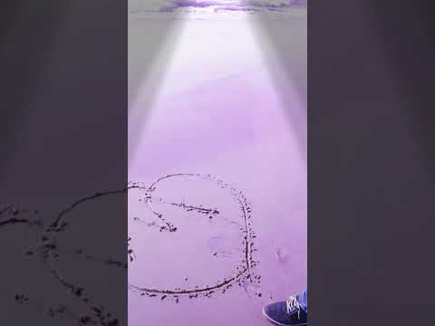 اكتر ناس عرفو الصح هني العملو غلط