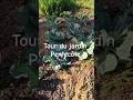tour du jardin weekend de Pentecôte