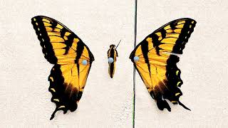Paramore - The Only Exception (background vocals)
