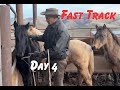 3 Colts on the Fast Track: Day 4 of Our 5 Day Series