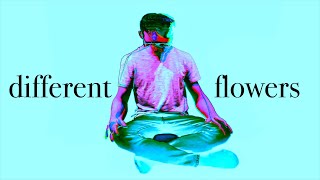 Different Flowers – Dan Collins and a Piano (Music Video)