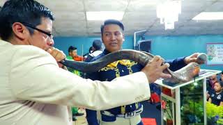 MARIACHI ISRAEL TULUXAN LA GRAN TRIBULACION