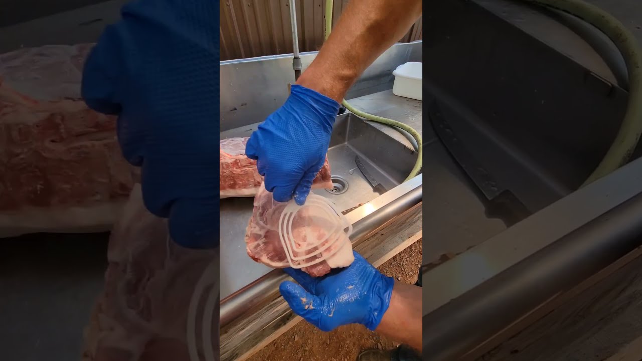 How To Remove Bone Chips From Freshly Cut Pork Chops Vevorbonesaw Homesteading Vevor