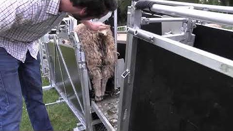 RaceGrip Demo | Mobile Yards | Animal Management | Farming | Rappa