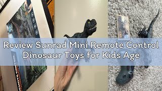 Review Sunrad Mini Remote Control Dinosaur Toys for Kids Age 3-5 4-7 8-12+, 2.4GHz RC Robot Dinosaur