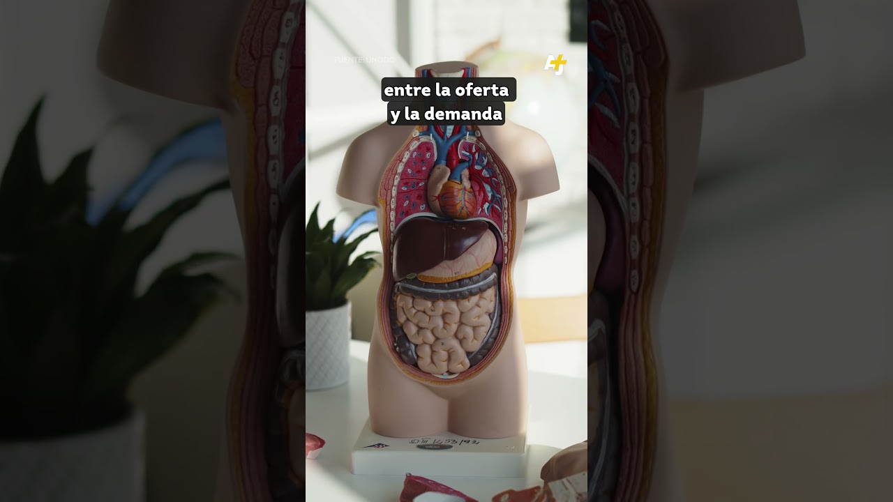 الحقيقة المروعة وراء مسلسل Heartbeat على نتفليكس #short
