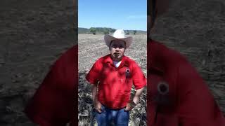 Testimonial Productor De Caña