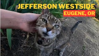 Jefferson Westside is Not What You Think