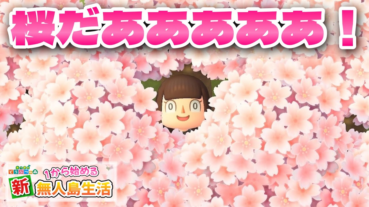 Animal Crossing] Let's go cherry blossom viewing!!! #46 [Animal