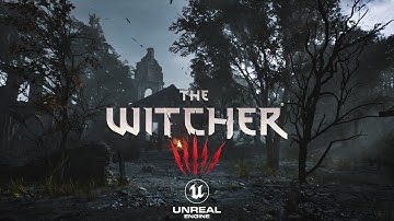 The Witcher 5 Concept Gameplay Unreal Engine 5.4 Lumen Nanite