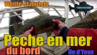 Peche en Mer du bord ( île d'Yeu )