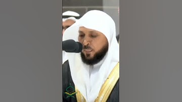 حافظ المقيلي يقرأ القرآن بصوت رائع #makkah #تلاوات #عبدالله_الجهني #عبد_الرحمن_السديس #فلسطين #kaba