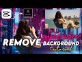 HOW TO REMOVE/CHANGE background from the IMAGE/VIDEOS using CAPCUT APP | CAPCUT TUTORIAL