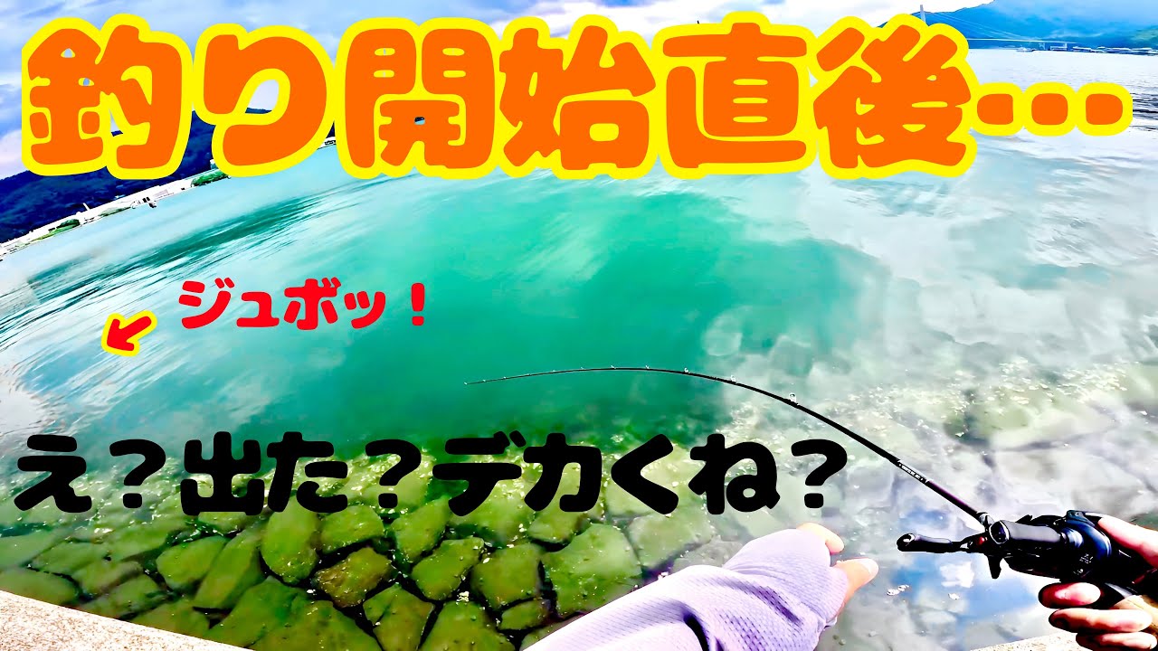 【チニング】開始2投で割れた海面…舞鶴湾にてトップで狙ってみた