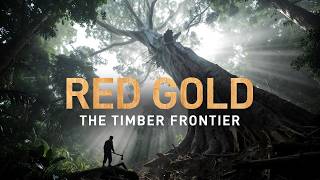 Red Gold: The Lawless Era of the Australian Cedar Getters