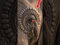 Oxpecker Removes Giant Ticks from an Elephant's Eye | Incredible Wildlife Symbiosis | Nature