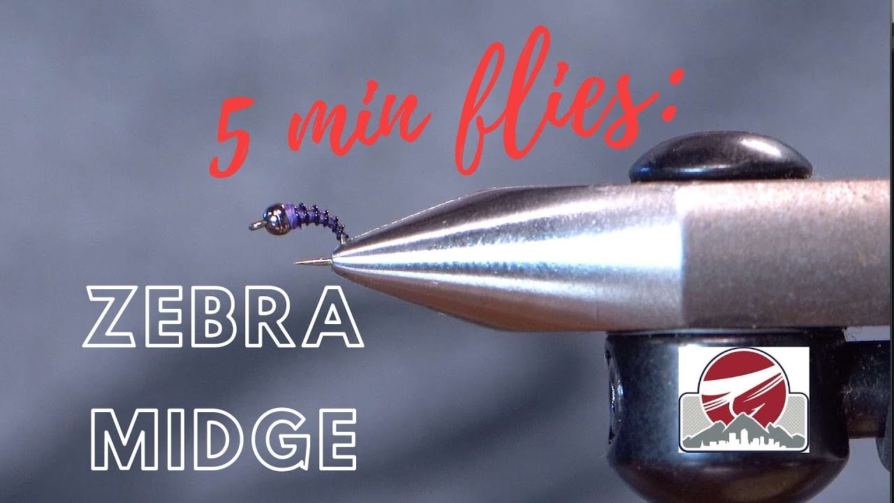 Tungsten Zebra Midge | FLY TYING TUTORIAL - YouTube