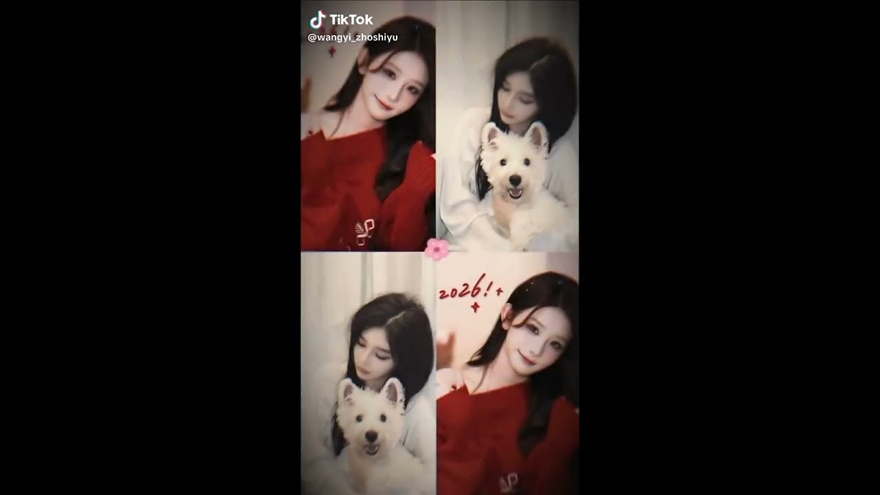 Tổng hợp các video về SQHY trên tiktiok 