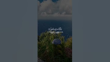 سورة الأعلى | ياسر الدوسري حالات واتس أب قرآن كريم 💜