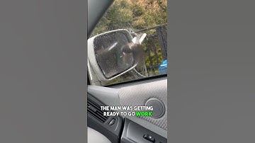This Man Found A Crazy Bird In His Car Mirror!