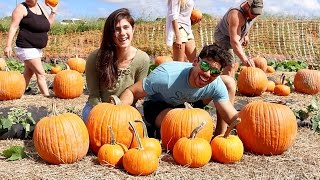 Pumpkin Patch at Bedner's Farm