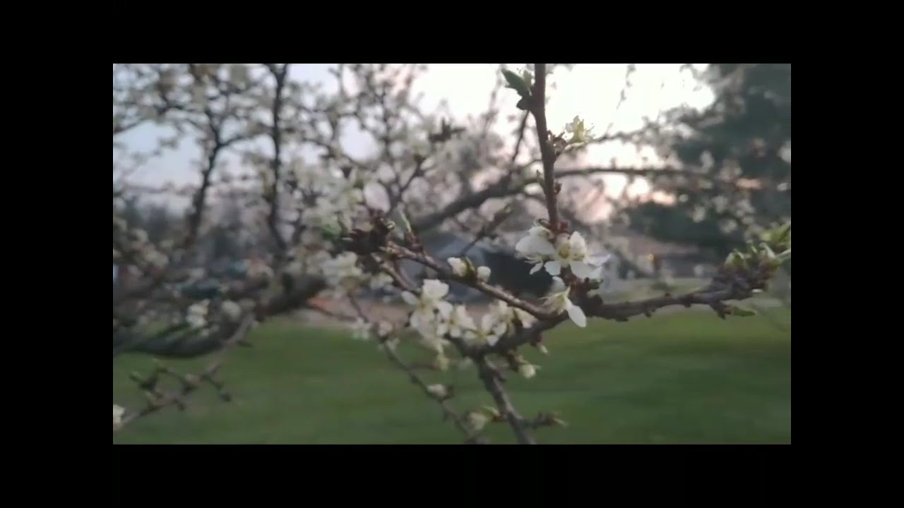 Homestead Updates - 4/27/18 