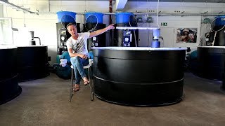 Modern Koi Blog 3348 Darf man Bachlaufe jede Nacht abstellen