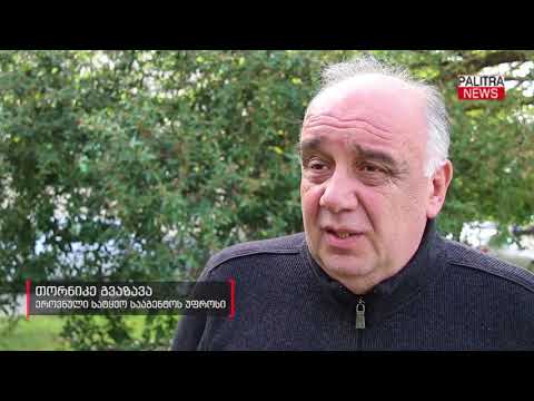 სამართალდამცველებმა ხე-ტყის უკანონოდ მოპოვებისა და ტრანსპორტირების ფაქტი გამოავლინეს