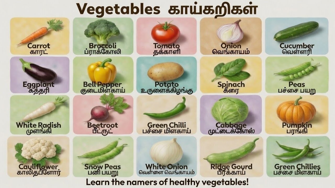 Vegitables for kids | vegetables names Tamil and english for kids #vegetables #healthyvegetables 