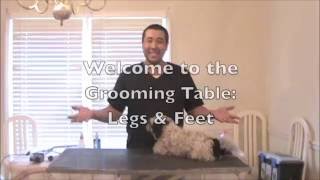 The Grooming Table: Legs & Feet