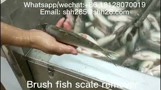 Brush Fish Scale Removing Machine Fish Scaler Fish Scale Remover Seafood Processing Equipment