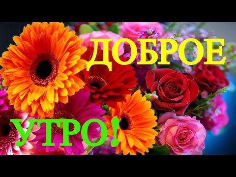 Доброе утро! Открытка.Давайте с утра улыбаться!Красивые слова Отличная музыка.Хорошего дня!
