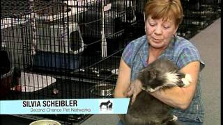 Shaw TV and Second Chance Pet Of The Week