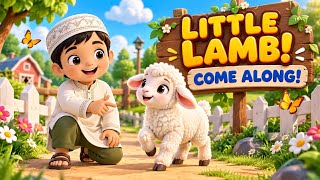 🐑 Where Is the Little Lamb’s Family 🐑 | Islamic Kids Rhyme #IslamicKids #KidsRhyme #MuslimKids